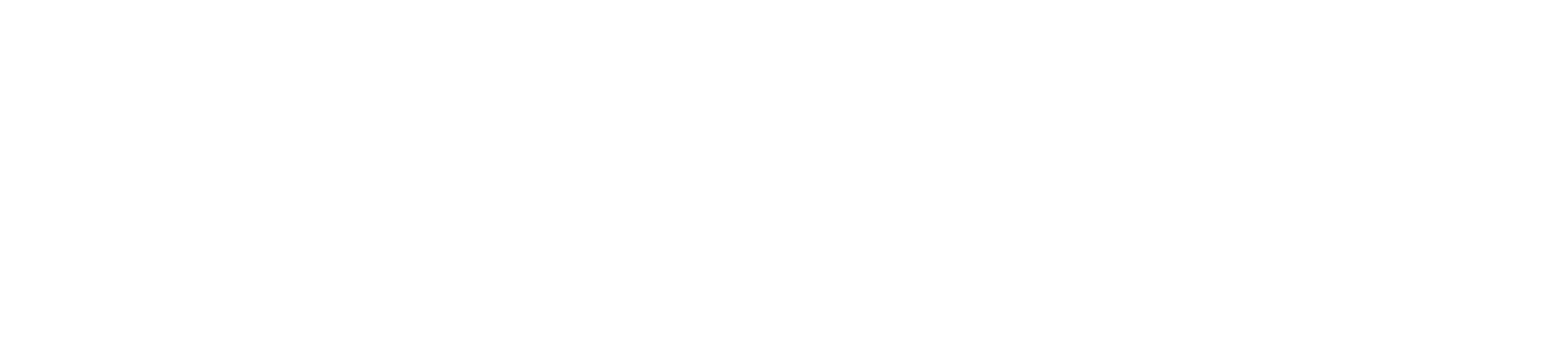 Logikai_SecondaryLockup_White